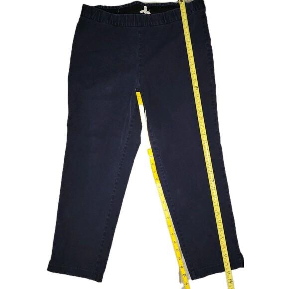 Eileen Fisher Womens Size M Stretch Pull On Blue Pant Crop Pants Preppy Beachy - Picture 3 of 9